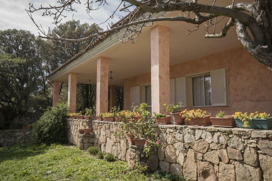 Fumu Ludurru Farm Stay Padru Εξωτερικό φωτογραφία