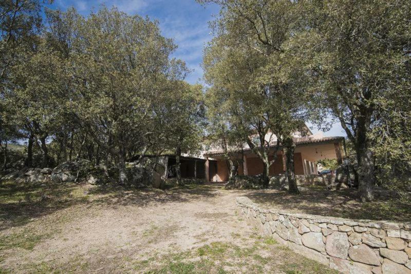 Fumu Ludurru Farm Stay Padru Εξωτερικό φωτογραφία